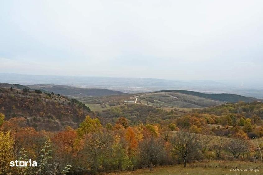 Teren de 7000 mp, în Cetate