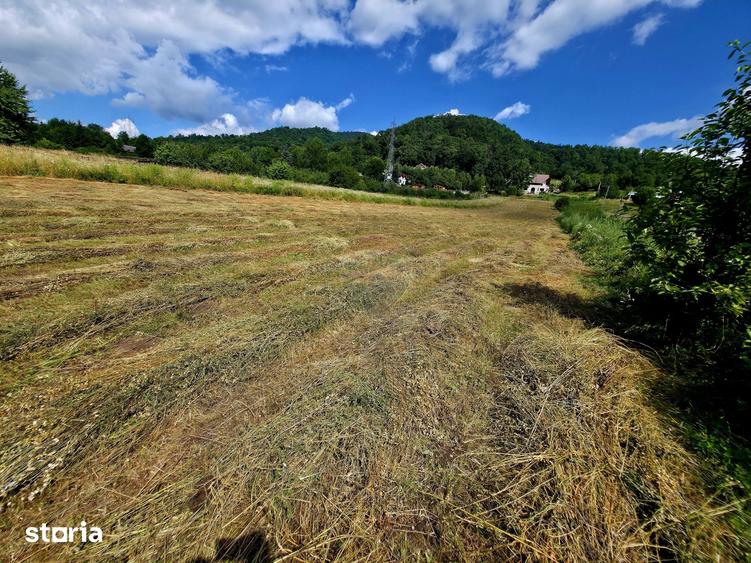 Teren de 600 mp, în Alexandru cel Bun