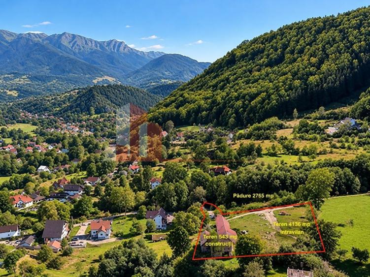 Teren Construcții intravilan de 7151 mp, în Bran