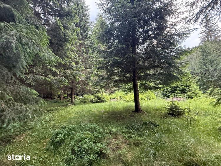 Teren de 2500 mp, în Comandău