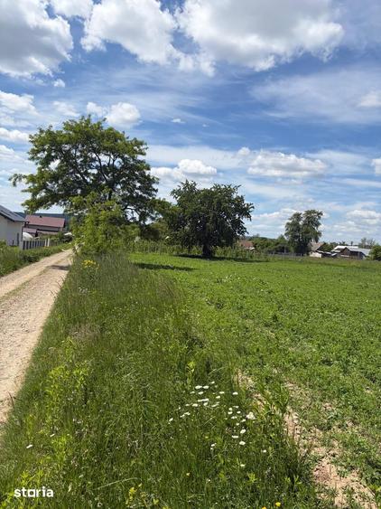 Teren de 27 mp, în Mitocu Dragomirnei