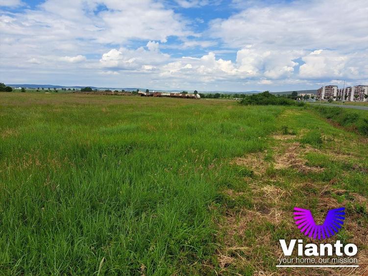 Teren Construcții intravilan de 9000 mp, în Turnișor