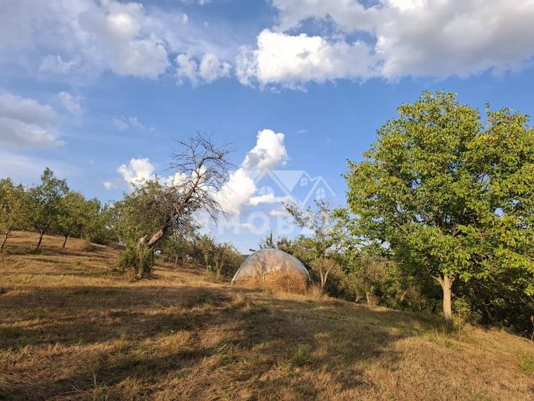 Teren agricol extravilan de 161899 mp, în Șoimari