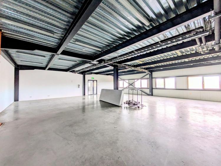 Spațiu comercial, de 100 mp, în Șagului