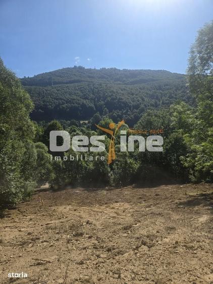 Teren Valea Doftanei, zona Pe Vale - Baraj Paltinu - 3