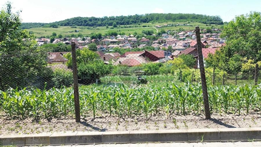 Teren de 1103 mp, în Sud