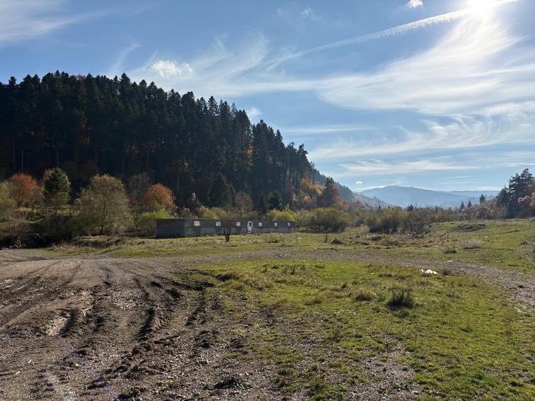 Teren Construcții intravilan de 10000 mp, în Săcele