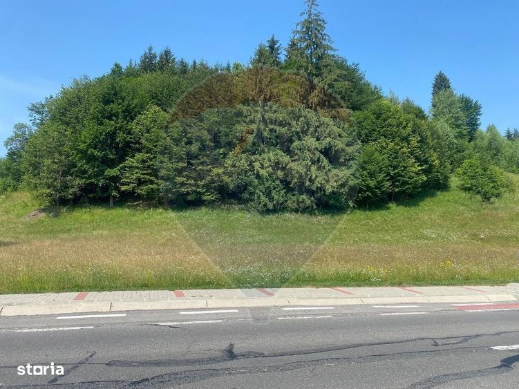 Teren Extravilan 4,306 mp in Vama Buzaului la Strada Principala - 2