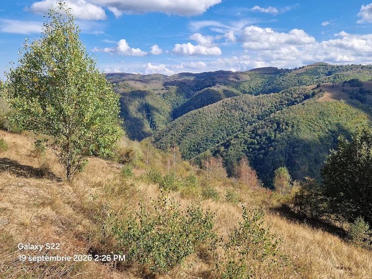 Teren de 7700 mp, în Mărișel