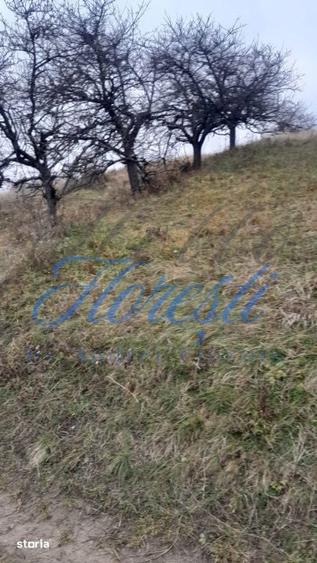 Teren de 3450 mp, în Borhanci