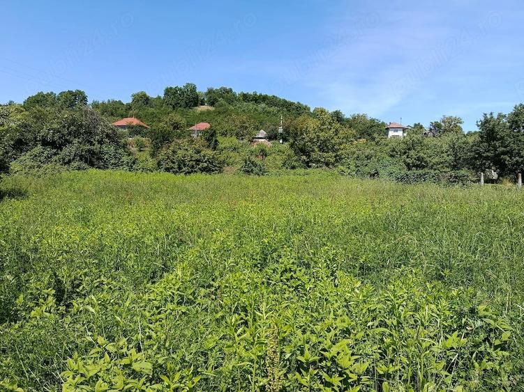 Casă cu Teren 19 Mp în Remetea Chioarului