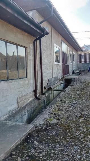 Spațiu comercial, de 330 mp, în Târpești
