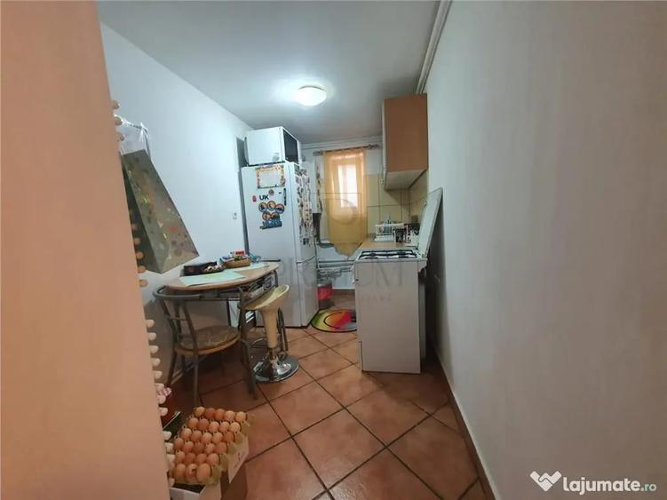 FREIDORF, CASA INDIVIDUALA D P Pod, 5 CAMERE CU GARAJ SI TER - 8