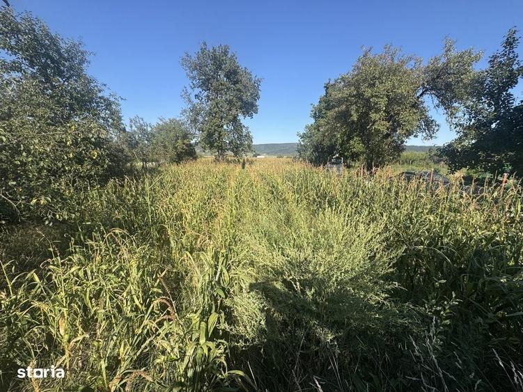 Casă cu 2 camere cu Teren 2100 Mp în Luna