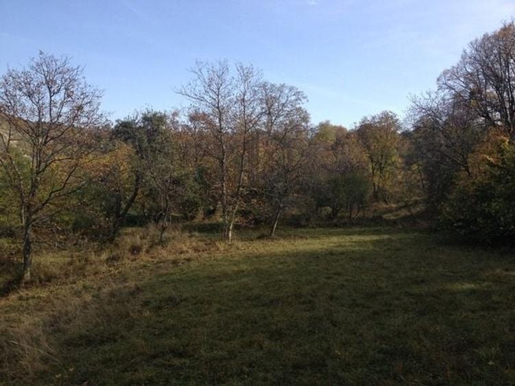 Teren agricol extravilan de 1125 mp, în Gușterița