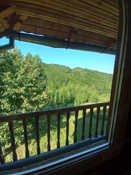Casă cu 8 camere cu Teren 1500 Mp în Central