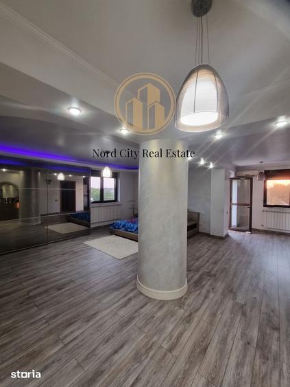 Casă cu 5 camere cu Teren 7500 Mp în Ciolpani
