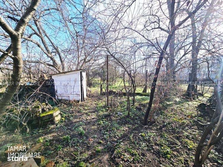 Casă cu 3 camere cu Teren 742 Mp în 6 Vânători