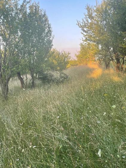 Teren de 2850 mp, în 700