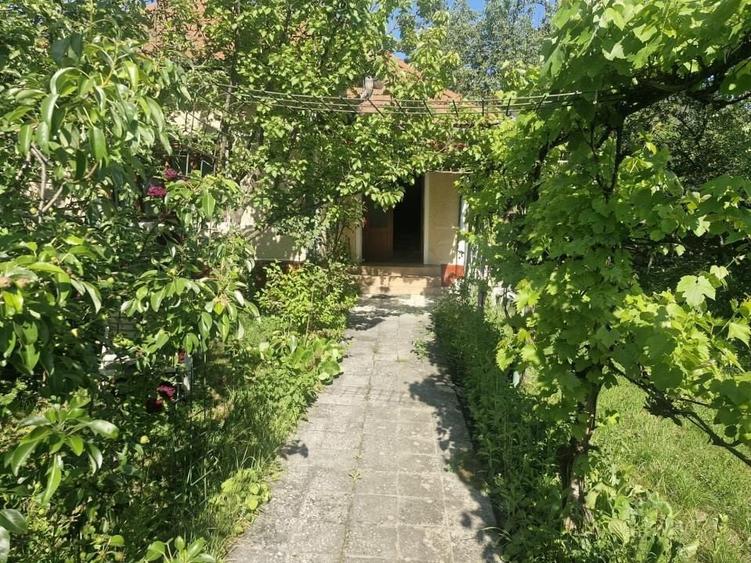 Casă individuală cu 3 camere cu Canalizare în Pianu de Sus