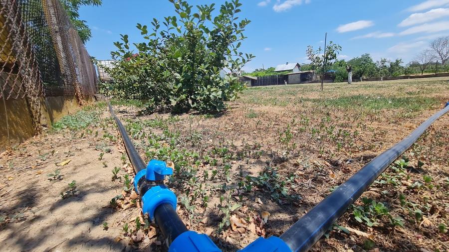 Casă individuală cu 5 camere cu Canalizare în Ulmi