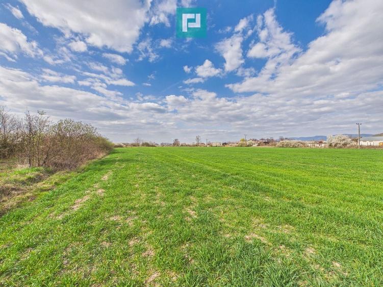 Teren agricol extravilan de 10000 mp, în Sud-Est