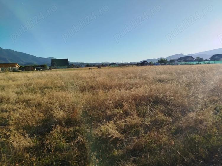 Teren de 1000 mp, în Glăjărie