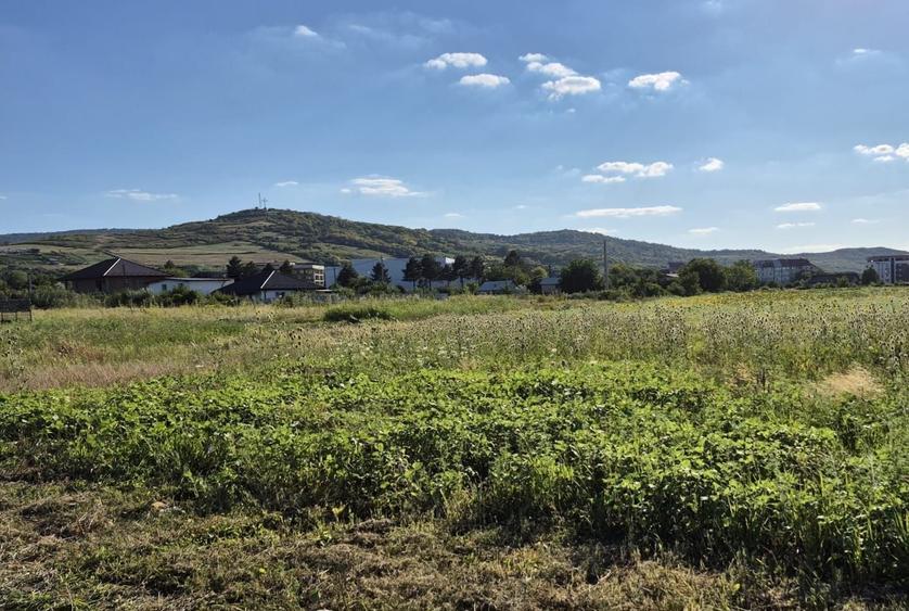 Teren de 650 mp, în Tomești
