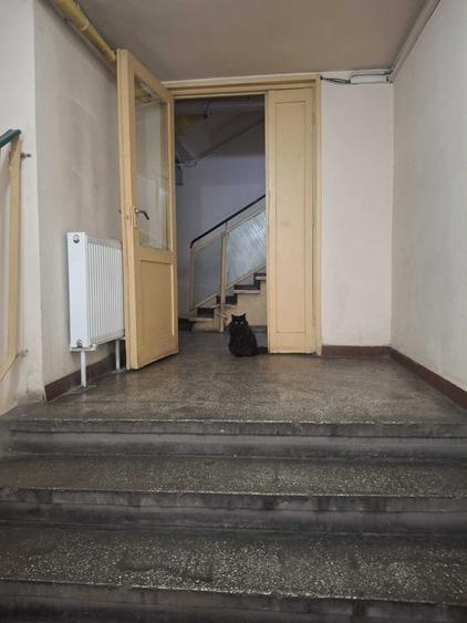 Apartament cu 3 camere decomandat în Rahova