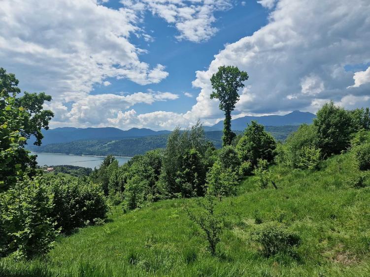 Teren de 3800 mp, în Buhalnița