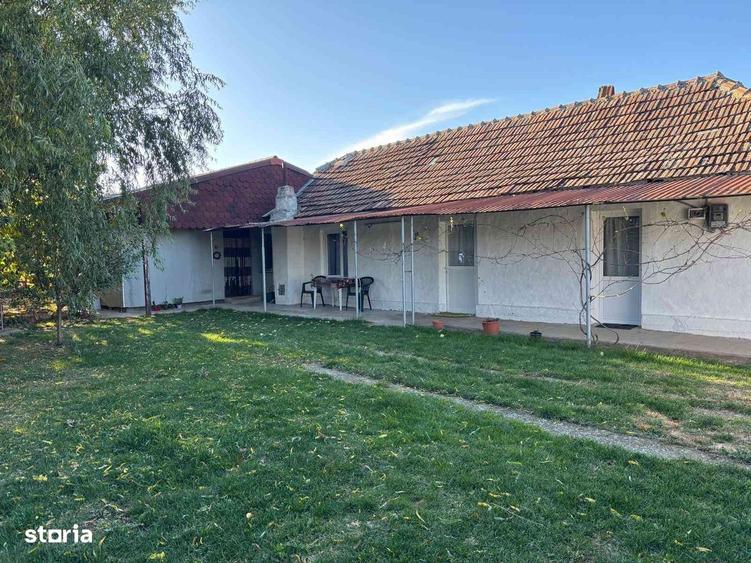 Casă cu 4 camere cu Teren 1200 Mp în Peciu Nou