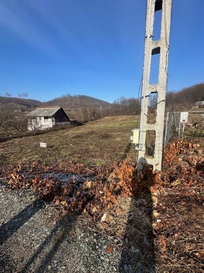 Teren intravilan de 3600 mp, în Tăuții-Măgherăuș