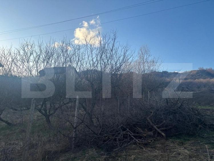 Teren Construcții intravilan de 3300 mp, în Nord