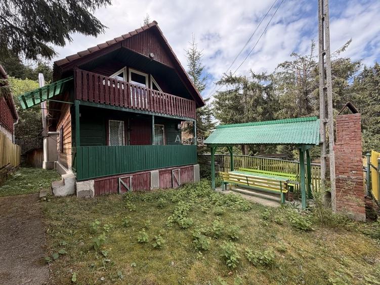 Cabana de vanzare in Muntele Baisorii