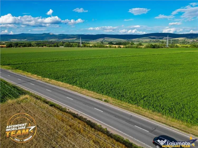 Teren de 30200 mp, în Valea Crișului