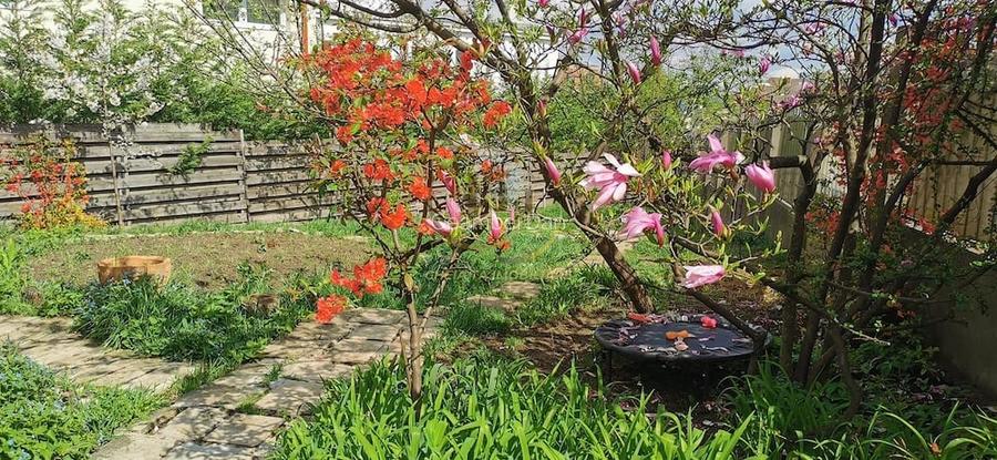 Pet Friendly | Garsoniera la casa | Curte proprie