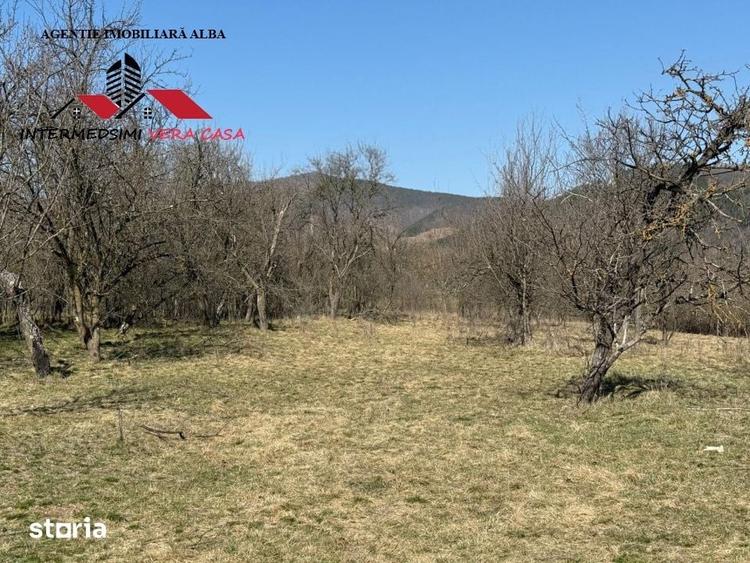 Casa si anexe cu un teren de 7701 mp de vanzare in Stauini Jud Alba - 7
