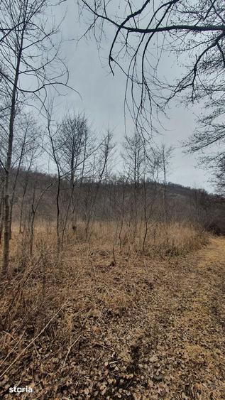 Teren de 2800 mp, în Sovata
