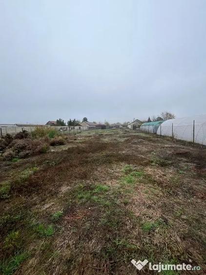 Teren de 1608 mp, în Poiana