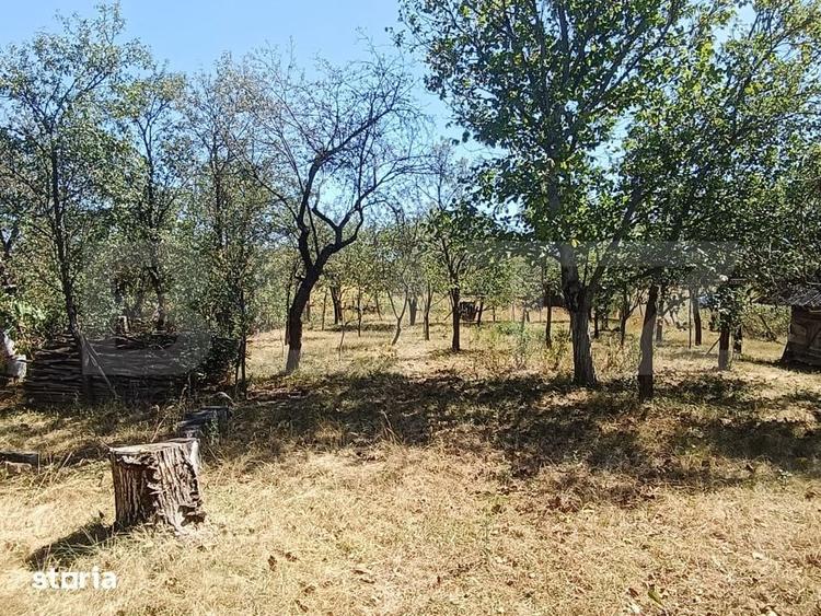 Casă cu 2 camere cu Teren 2200 Mp în Ardusat