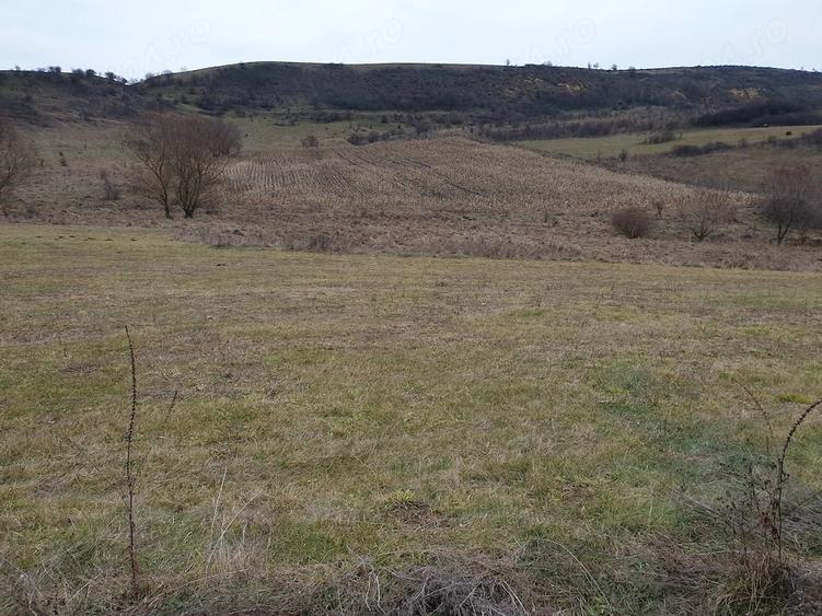 Teren de 1850 mp, în Chinteni
