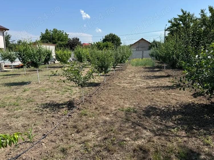 vand teren intravilan - zimnicea - 5