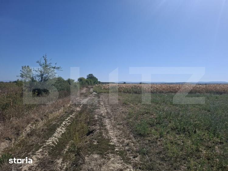 Teren de 3746 mp, în Ardud
