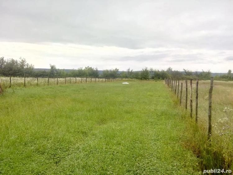 Teren de 2200 mp, în Colibași