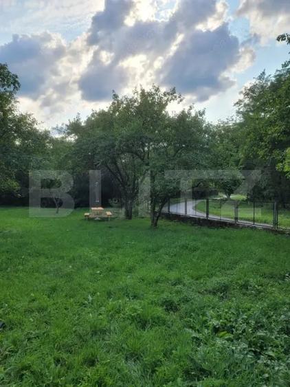 De vanzare casa de 135 mp si 5 hectare de teren, langa Deva - 1