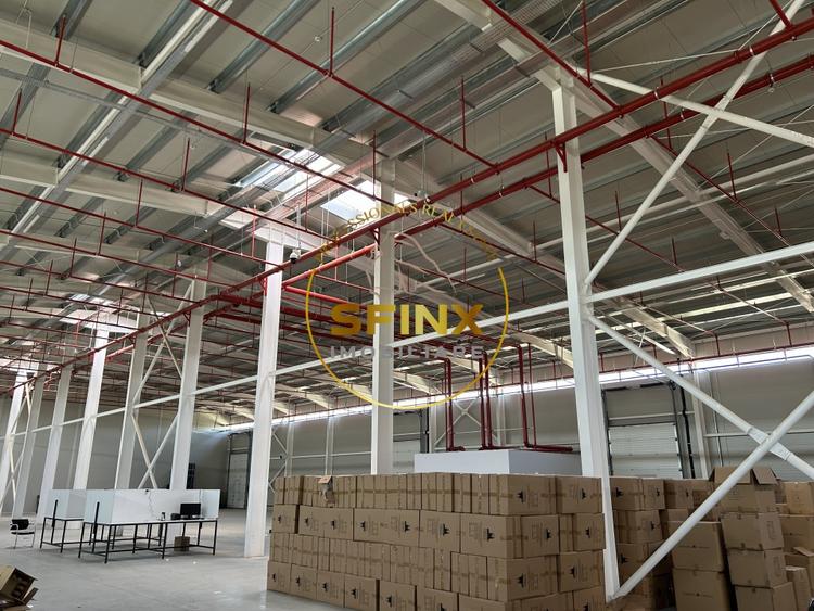 Spațiu industrial, de 3,000 mp, în Cernica