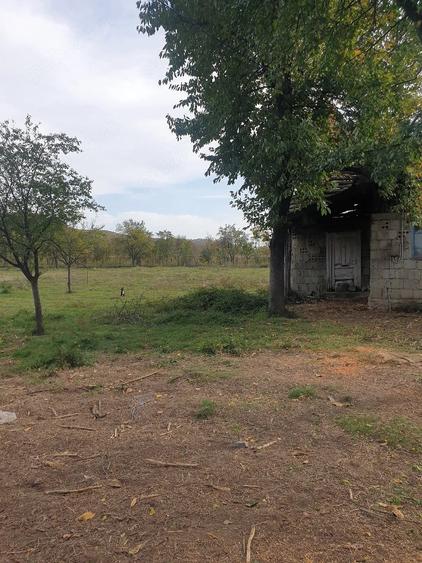 Casă cu Teren 3600 Mp în Balotești