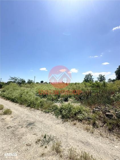 Teren de 1700 mp, în Amzacea