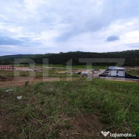 Teren de vanzare in Valea Lupului Strada Lacului | 2 p - 3