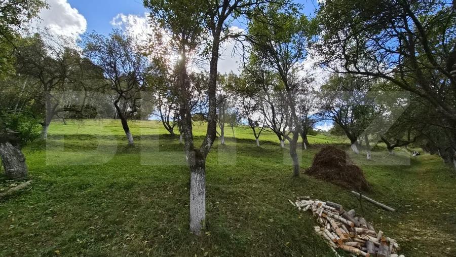 Casă individuală cu 3 camere cu Teren 23000 Mp în Poiana Mărului